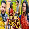 About Delhi Shahar Me Song