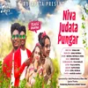 About Niva Judata Pungar Song