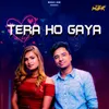 About Tera Ho Gaya Song