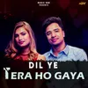 About Dil Ye Tera Ho Gaya Song