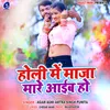 About Holi Me Maja Mare Aaib Ho Song