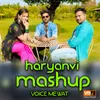About Haryanvi mashup Song