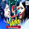 About Meri Mahi Song