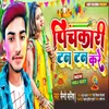 About Pichkari Tan Tan Kare Song