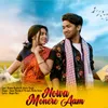 About Nowa monere aam Song