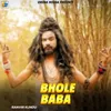 About Bhole Baba Song