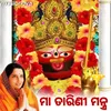 Om Tarini Namo Namah by Anuradha Paudwal