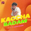 About Kaccha Badam Song