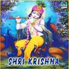 About Shri Krishna Song