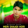 About Meri Shaadi Hori Song