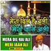 Mera Dil Hai Ali Meri Jaan Ali