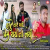 About Haju Tare Mare Prem Thayoto Nathi Song