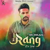 About Rang Udd Gya Holi Special Song