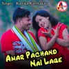 About Amar Pachand Nai Lage Song