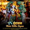 About Vrindavan Main Radhe Shyam Song