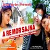 About A Re Mor Sajna Song