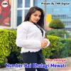 About Number Hai Bhulagi Mewati Song