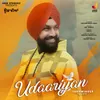 About Udaariyan Song