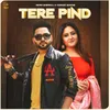 About Tere Pind Song