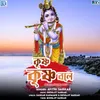 About Krishna Krishna Bole Song