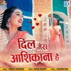 About Dil Mera Aashiqana Hai Song