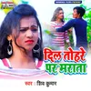 About Dil Tohare Par Marata Song