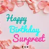 About Happy Birthday Surpreet Song