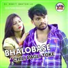 About Bhalobase Chili Pagli Toke Song