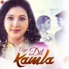 About Aye Dil Kamla Song