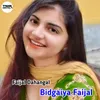 About Bidgaiya Faijal Song