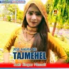 About Jese Aagra Me Tajmehel Song