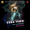 About Tera Ishq Song