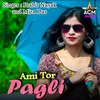 About Ami Tor Pagli Song