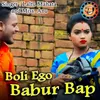 About Boli Ego Babur Bap Song