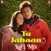 About Tu Jahaan - LoFi Mix Song