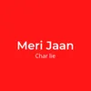 About Meri Jaan Song