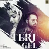 About Teri Gel Song