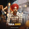 About Tera Pind Song