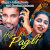 About Haye Re Pagli Song