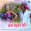 About Van Pahar Tare Song