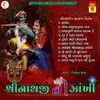 About Shrinathji Ni Zankhi-Nonstop Satsang Kirtan Part 15 Song