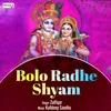 About Bolo Radhe Shyam Song