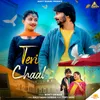 About Teri Chaal Song