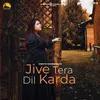 About Jive Tera Dil Karda Song