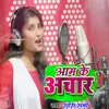 About Aam Ke Achar Song