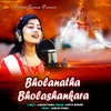 About Bholanatha Bholashankara Song
