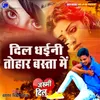 About Dil Dhaini Tohar Basta Me Song
