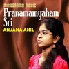 About Pranamamyaham Sri Song