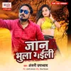 About Jaan Bhula Gaili Song