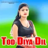 About Tod Diya Dil Song